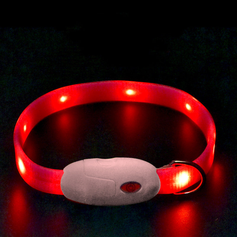 Dog Luminous Collar To Prevent Loss